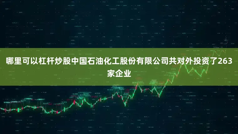 哪里可以杠杆炒股中国石油化工股份有限公司共对外投资了263家企业