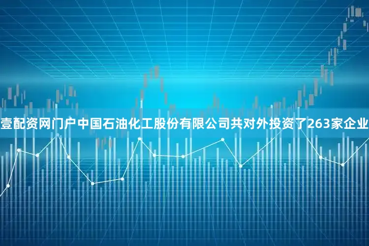 壹配资网门户中国石油化工股份有限公司共对外投资了263家企业